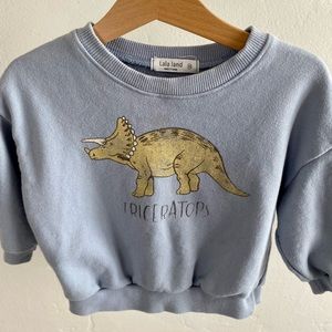 Dinosaur Sweatshirt 12-24 months
